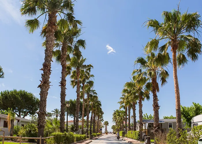 Estival Vendrell Platja 5*