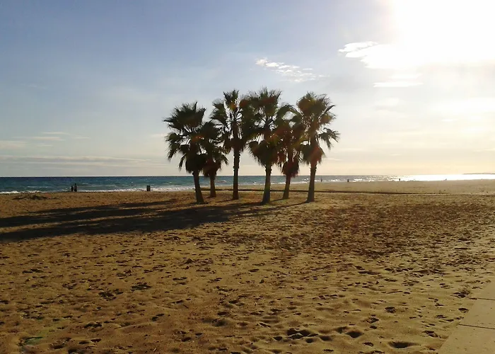 Estival Vendrell Platja 5* 科马鲁加