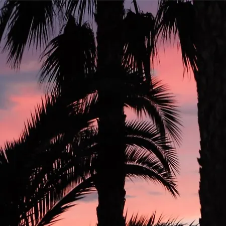 Estival Vendrell Platja 5* Coma-ruga