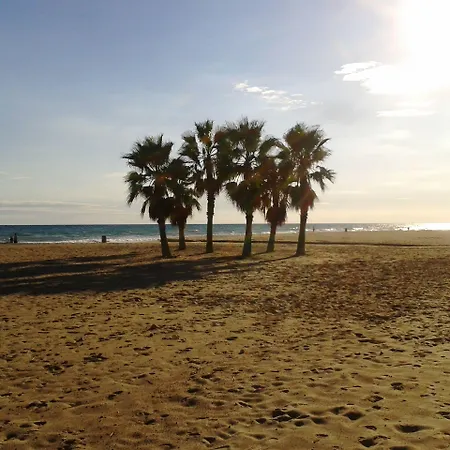 Estival Vendrell Platja 5* קמארוגה
