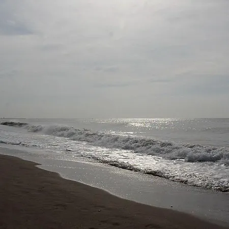 Estival Vendrell Platja 5*