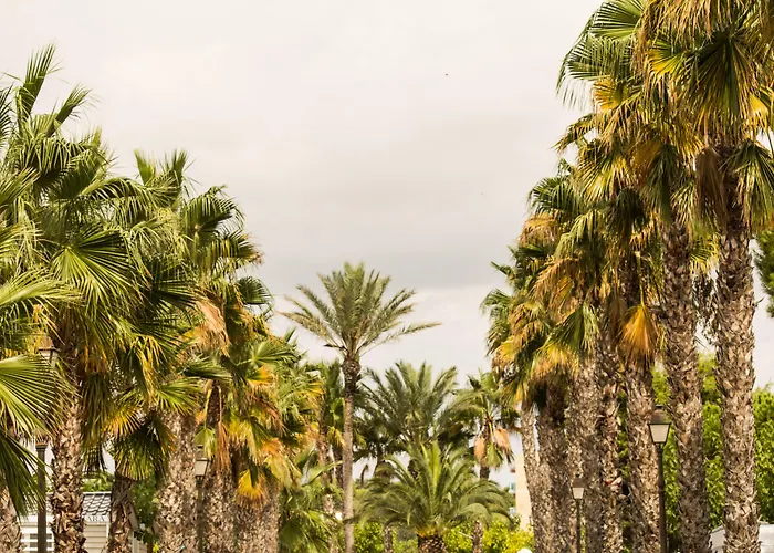 Estival Vendrell Platja مكان تخييم